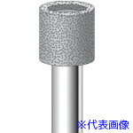 ���ʥ��˥� ����CBN�С� ������ ��11��10�߼���6 #140 13130(8292819)