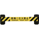 ■Reelex 自動巻きダブルバリアリール(シート長さ12m) BRSW606B(8553134)