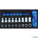 ■GEDORE トルクスビットソケットセット 1500CT1‐ITX19LKP 2308940(8558930)