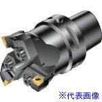 ■SANDVIK コロボアBR30 カッティングユニット(530) BR3045CC06FC4(8689730)[送料別途お見積り][法人限定][掲外取寄]