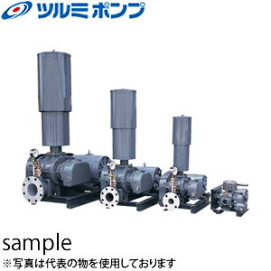 鶴見製作所(ツルミポンプ)　曝気用　ルーツブロワ　RSR-100　三相200V　50Hz(東日本用)　口径100mm　11kw[法人限定](4)