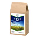 ◆バイエル キラップ粉剤DL 3kg