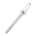 ◆藤原産業 SK11 ブラインドリベット 300入 SA5-4LB