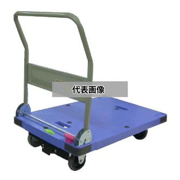 ()ʥ󥷥 ¼(ȥޥ) DSK-301B2 [ˡ͸]