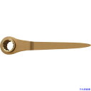 ■Ampcoスイス 防爆シノ付きラチェットレンチ 二面幅寸法21mm CR0021B(1026366)