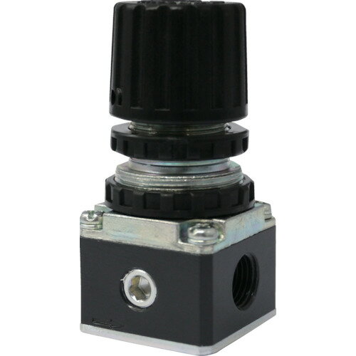 ■日本精器 レギュレータ8Aコンパクトタイプ BN3R218(1034405)