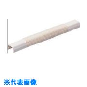 ��̤�� 1��⡼����°��(���祤���) �� MLF1B(1044441)