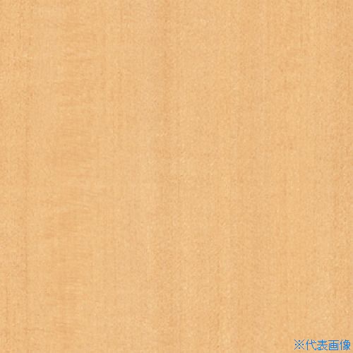 オレンジブック トラスコ中山　TRUSCO3M ダイノックフィルム WG−1812 1220mmX50m 〔品番:WG1812〕[ 注番:1045518]特長仕様仕様2●ダイノックフィルム　WG−1812　1220mmX50m材質/仕上セット内容/付属品注意●この商品は、一般消費者様向けの製品ではないため、表示や取扱説明書等が一般消費者様向けに表記・同梱されておりません。原産国（名称）日本JANコード4548623457949本体質量25.1kgオレンジブック トラスコ中山　TRUSCO3M ダイノックフィルム WG−1812 1220mmX50m 〔品番:WG1812〕[注番:1045518][本体質量：25.1kg]《包装時基本サイズ：1280×210×210》〔包装時質量：26kg〕分類》化学製品》接着剤・補修剤》建築・内装用補修剤☆納期情報：メーカー取り寄品（弊社より発送）