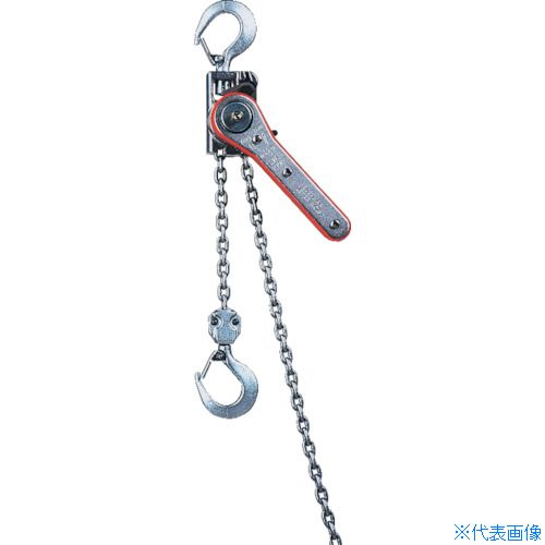 楽天市場】レバーホイスト（電動工具本体｜DIY・工具）：花・ガーデン