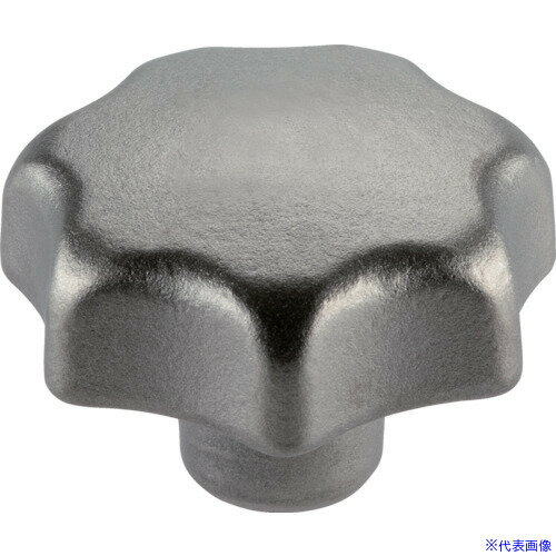 ■HALDER スターグリップ DIN 6335 ステンレス鋼 精密鋳造 形状E 24661.0440(1078758)[送料別途お見積り][法人限定][掲外取寄]