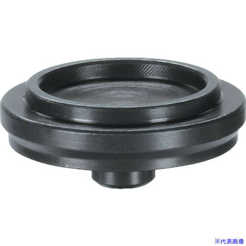 ��HALDER ������塼����å� ���󥿥�󥰥ץ졼�� 23470.0170(1078951)[�������Ӥ����Ѥ�][ˡ�͸���][�ǳ����]