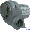 ■淀川電機 電動送風機 小型シロッコ型 2Sシリーズ 単相100V (0.047kW) 2S(1097466)