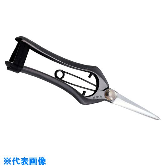 ��˭̭ ��§�� ������ ��� HT2670(1114030)[�������Ӥ����Ѥ�][ˡ�͸���][�ǳ����]