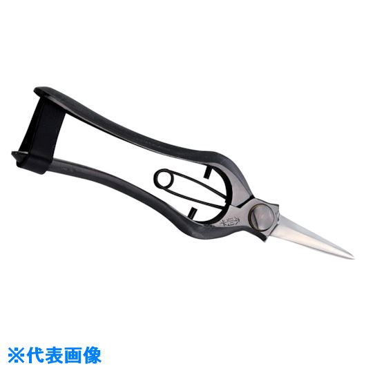 ��˭̭ ��§�� ������ û�� ��� HT2673(1114037)[�������Ӥ����Ѥ�][ˡ�͸���][�ǳ����]