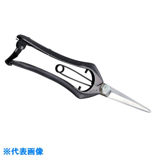 ��˭̭ ��§�� ������ ��� HT2672(1115536)[�������Ӹ��Ѥ�][ˡ�͡����Ƚ����][��ľ��]