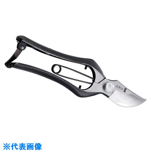 ��˭̭ ��§�� ������ B�� ��� 200mm HT2574(1115537)[�������Ӹ��Ѥ�][ˡ�͡����Ƚ����][��ľ��]