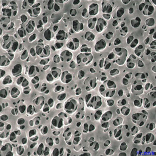 ■SIBATA メンブレンフィルター C080A293C 25入 064320293080(1123014)[送料別途見積り][法人・事業所限定][掲外取寄]