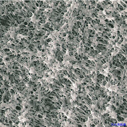 ■SIBATA メンブレンフィルター H020A142C 25入 064410142020(1126186)[送料別途見積り][法人・事業所限定][掲外取寄]