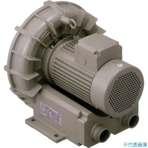 ��TERAL ��󥰥֥���VFZ-A�� VFZ801A(1147635)[ˡ�͸���][ľ����]