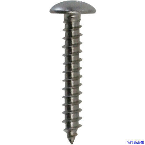 ■DAIDOHANT HP ステンレス タッピング トラス 5×40 2本入 10183906(1176182)