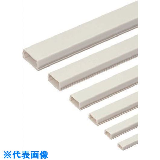 ��̤�� �ץ�⡼��4�桦�ơ����� PML4WT(1179787)