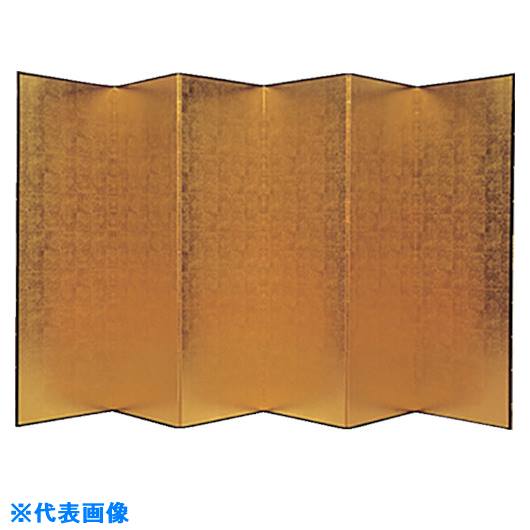 ��NAIKI ��֢��(6��6��) NGP66(1181756)[�������Ӥ����Ѥ�][ˡ�͸���][��ľ��]