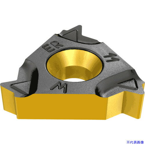 ■イスカル ウィットワースねじ切りチップ ER/L-W IC1007 16ERM14W(IC1007)(1184720)×5[送料別途お見積り][法人限定][掲外取寄]