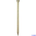 ■DAIDOHANT HP ケーシング釘 ベージュ 1.5×25 100本入 10183139(1196351)