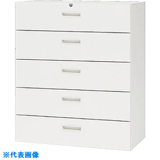 ■NAIKI 収納庫 CW型 ファイル引出し(5段) W899×D450×H1050 CW0911S5WW(1228948)[送料別途お見積り][法..
