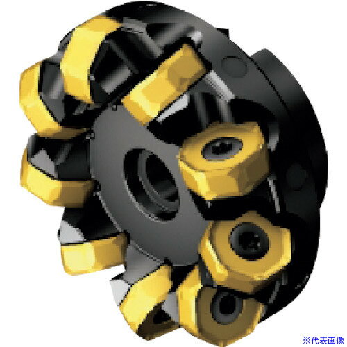 ■サンドビック コロミル745カッター(450) 745250Q6021M(1236935)[送料別途見積り][法人・事業所限定][掲外取寄]