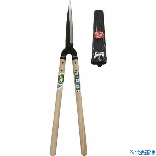 ����ŵ Ĵ�� ����(�緿)������ ��5������ B24(1269730)[�������Ӥ����Ѥ�][ˡ�͸���][ľ��]