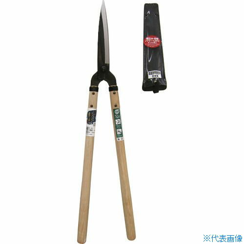 ����ŵ Ĵ�� ����(�緿) ������ ��5�� B26(1271278)[�������Ӥ����Ѥ�][ˡ�͸���][ľ��]