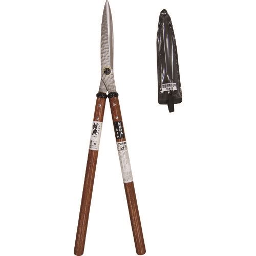 ����ŵ ������ ���ܻž夲 ���������� A19(1271321)[�������Ӥ����Ѥ�][ˡ�͸���][��ľ��]