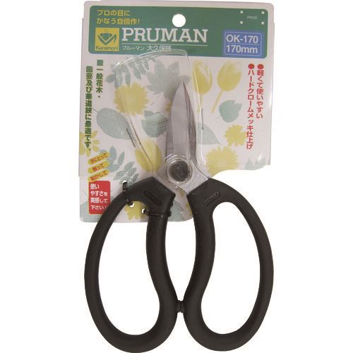 ��PRUMAN OK−170����ݷ��� OK170(1272850)[�������Ӥ����Ѥ�][ˡ�͸���][��ľ��]