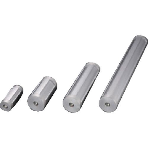 ■SUS おもり ウェイトフレーム 0.2kg GFW216(1274261)[送料別途見積り][法人・事業所限定][外直送]