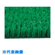 ■ミヅシマ アストロターフ FG15 442002(1333062)[送料別途お見積り][法人限定][外直送]