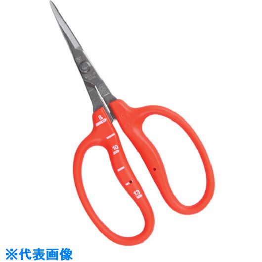 �������ޥ� ���ƥ�쥹�֤ɤ���������L�� B500SL(1357753)[�������Ӥ����Ѥ�][ˡ�͸���][�ǳ����]