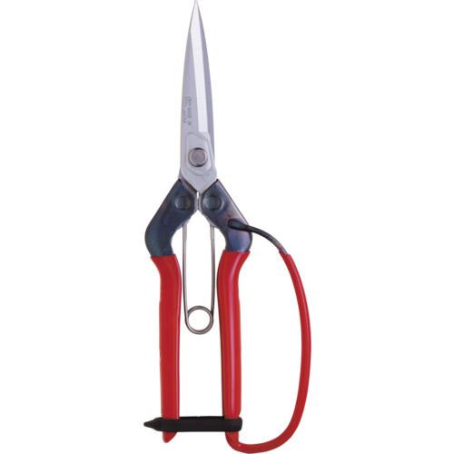 �������ޥ� ������ T710GDX(1357772)[�������Ӥ����Ѥ�][ˡ�͸���][�ǳ����]