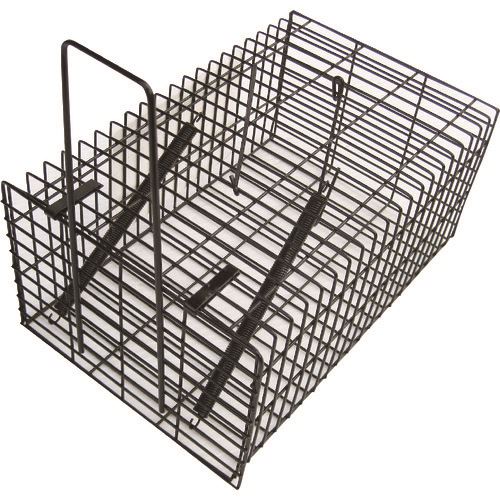 オレンジブック トラスコ中山　TRUSCOコンパル ブラック・角型ハウス 〔品番:028072〕[ 注番:1383776]特長●塗装仕上げで錆や金属腐食に強いです。太い線材、堅牢仕様で丈夫です。●毒物を使用せず捕獲できます。用途●毒物を使用せず簡単に捕獲できます。粘着物、毒エサ等で捕獲が難しいネズミも捕獲できます。仕様●色：ブラック●本体寸法(mm)高さ：100●本体寸法(mm)奥行：145●本体寸法(mm)幅：225仕様2●スチール(ブラック塗装)材質/仕上●・スチール（ブラック塗装）セット内容/付属品注意原産国（名称）中国JANコード4935682028072本体質量350gオレンジブック トラスコ中山　TRUSCOコンパル ブラック・角型ハウス 〔品番:028072〕[注番:1383776][本体質量：350g]分類》環境改善用品》害虫・害獣駆除用品》防獣用品☆納期情報：メーカー取り寄品（弊社より発送）