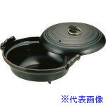 ��TKG ����߿����(��ŷ��) 16cm QMZ22(1391311)[�������Ӹ��Ѥ�][ˡ�͡����Ƚ����][�ǳ����]