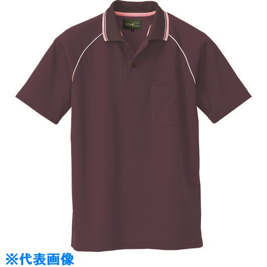 ȥ Ⱦµݥ(˽) 祳졼 3L 500050623L(1438106)[ӸѤ][ˡ͡Ƚ][ǳ]