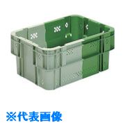 オレンジブック トラスコ中山　TRUSCOサンコー SNコンテナー 103404 C#36緑/緑 〔品番:SNC36GRGR〕[ 注番:1468397]特長●アミ目のSNコンテナーです。●180°回転で、スタッキング（＝積み重ね）、ネスティング（＝収納）が可能です。●未使用時のコンテナースペースの削減、輸送費用の削減を追求したコンテナーです。仕様●容量(L)：35.5●色：グリーン/グリーン●外形寸法(mm)間口：536●外形寸法(mm)奥行：375●外形寸法(mm)高さ：238●有効内寸(mm)間口：471●有効内寸(mm)奥行：314●有効内寸(mm)高さ：220●適合カード差し(別売)：両短辺9M型●ネスティング高さ(mm)：115仕様2材質/仕上●ポリプロピレン（PP）セット内容/付属品注意●火気厳禁原産国（名称）日本JANコード本体質量1910gオレンジブック トラスコ中山　TRUSCOサンコー SNコンテナー 103404 C#36緑/緑 〔品番:SNC36GRGR〕[注番:1468397][本体質量：1910g]分類》物流・保管用品》コンテナ・パレット》メッシュコンテナ☆納期情報：オレンジブック掲載以外でメーカー直送品【法人限定＝会社名ご記入お願い致します。】