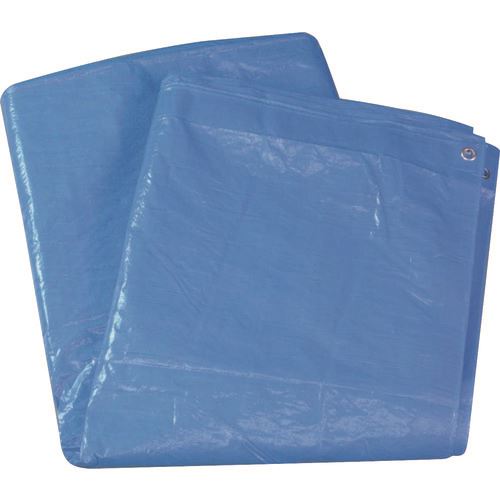 オレンジブック トラスコ中山　TRUSCOWING ACE ブルーシート 薄手タイプ Pシート 10mX10m 〔品番:BS1010P〕[ 注番:1521805]特長●軽量、コスト重視のシートです。用途●建築、土木、農水作業他、野積み、養生等の多目的シートに。仕様●幅(m)：10●長さ(m)：10●ハトメ数(個)：40●ハトメピッチ(cm)：100●色：ブルー●ハトメ内径(mm)：13仕様2材質/仕上●シート：ポリエチレン●ハトメ：アルミニウムセット内容/付属品注意●表示サイズより5％程小さくなります。原産国（名称）ベトナムJANコード4938965030434本体質量4.8kgオレンジブック トラスコ中山　TRUSCOWING ACE ブルーシート 薄手タイプ Pシート 10mX10m 〔品番:BS1010P〕[注番:1521805][本体質量：4.8kg]《包装時基本サイズ：670×410×30》〔包装時質量：5kg〕分類》梱包用品》シート・ロープ》ブルーシート☆納期情報：オレンジブック掲載以外でメーカー直送品【法人限定＝会社名ご記入お願い致します。】