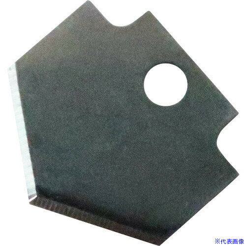 ■BBK 替刃 (307FP用) 8115601(1577271)[送料別途見積り][法人・事業所限定][掲外取寄]