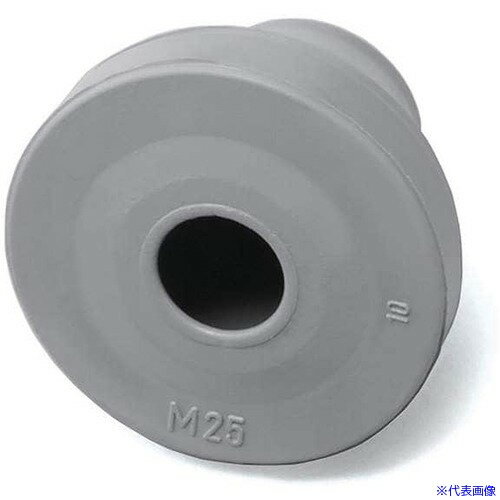 ��SUGATSUNE (210038248)T−1458328−P50 �ɿ塦�ɿХ�����å� �Ѹ������� T1458328P50(159...