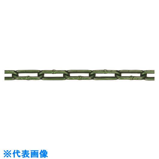  Ĺۥߥ顼 ꡼ AL-6GR Ĺ󥯿ꥫå 9.110m AL610CGR(160063...
