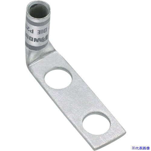 ■PANDUIT 銅製圧縮端子 2穴 電線サイズ AWG8 電線サイズ 取付穴サイズ 4.8mm バレル角度 90度 LCD8−10AF−L LCD810AFL(1677754)[送料別途お見積り][法人限定][掲外取寄]