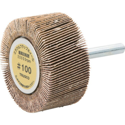 ��TRUSCO �ߥ饯��ե�åץۥ����� ����50X��25X��6 5���� #100 100# MR5025(100)(1729721)