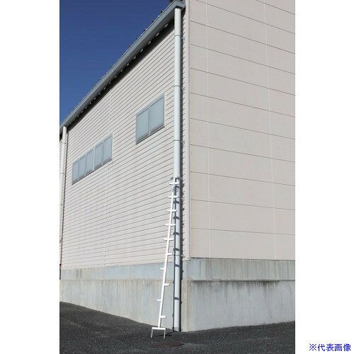 オレンジブック トラスコ中山　TRUSCOHARAX ワンダ 〔品番:WR30〕[ 注番:1767818]特長●各ステップが溶接構造のため丈夫です。●上中下のはしごはボルトによる連結式で、運搬や木の高さに合わせ増設ができるのでとても便利です。用途●枝打ち作業時に仕様●長さ(mm)：3260●幅(mm)：235仕様2●組立品●有効長305cm●全長326cm材質/仕上●本体：アルミ合金セット内容/付属品注意●本体を80度に設置し全長の中央付近で、はしごと立木をいったん丈夫なロープで縛り、上部は付属のロープを使い、しっかりと立木に固定してください。原産国（名称）日本JANコード4939356397174本体質量6.7kgオレンジブック トラスコ中山　TRUSCOHARAX ワンダ 〔品番:WR30〕[注番:1767818][本体質量：6.7kg]《包装時基本サイズ：1780×270×180》〔包装時質量：7kg〕分類》工事・照明用品》はしご・脚立》はしご☆納期情報：オレンジブック掲載以外でメーカー直送品（送料元払い）【法人限定＝会社名ご記入お願い致します。】※北海道・沖縄・離島は運賃別途商品も含む