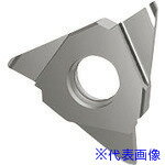 ■GUHRING 溝入れ工具 インサート 内外径フルR溝入れ加工用 GE305.0200.100.AA.04.N 2561512.009(1804796)×2[送料別途お見積り][法人限定][掲外取寄]